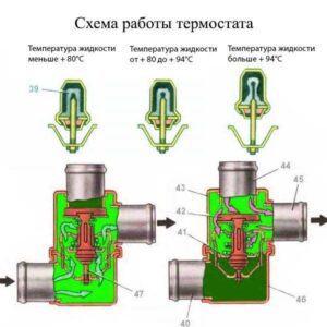 Как взаимосвязаны термостат и двигатель?